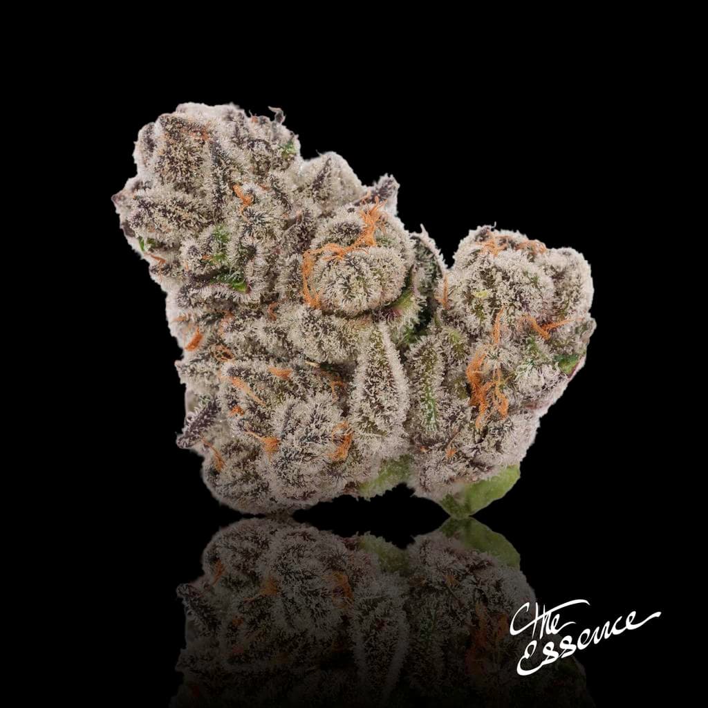 MÜV & (the) Essence 3.5g Flower: 45% OFF 2 or more