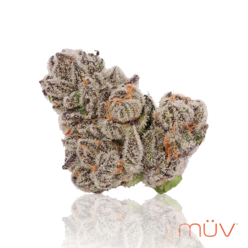 50% OFF MÜV & (the) Essence 14g Flower